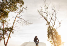 O Frio nasce na Figueira da Foz e promete congelar o país.