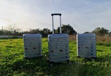 ISEC promove 2.ª edição Summer Engineering Academy de 27 de junho a 1 de julho