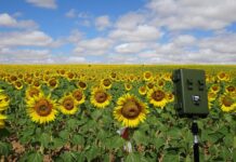 Estudo europeu liderado por Coimbra propõe estratégia agroambiental para melhorar produção agrícola