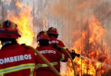 Primeiro-ministro em Coimbra, Lousã e Viseu para “verificar operação” de combate aos fogos