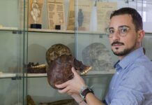 Cientistas da Universidade de Coimbra descobrem caso de surdez com 100 mil anos