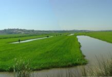 Agricultores alertam Parlamento para problemas do sector no Baixo Mondego