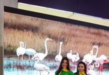 Figueira da Foz na BTL 2024