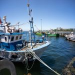 Governo mobiliza apoio de 3,5 milhões para compensar perdas na pesca devido ao mau tempo