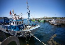 Governo mobiliza apoio de 3,5 milhões para compensar perdas na pesca devido ao mau tempo