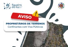 Figueira da Foz avança com limpeza de terrenos junto à rede viária para prevenção de incêndios